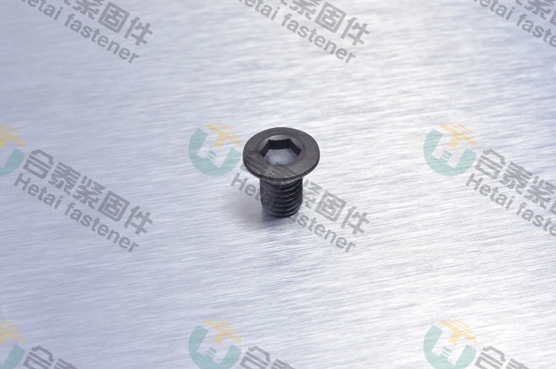起发电机螺钉10